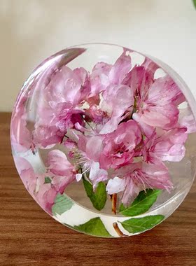 【圆樱花】镇纸植物标本摆件水晶滴胶干花节日礼物 尺寸：8x8x4cm