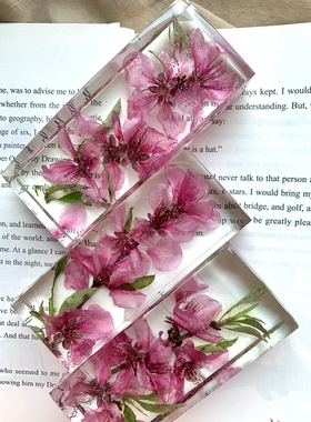 【桃花】滴胶花枝真花摆件纯手工标本节日礼物教师节10×4×2cm