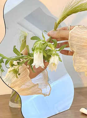 镜面餐桌装饰亚克力插画摆件装饰