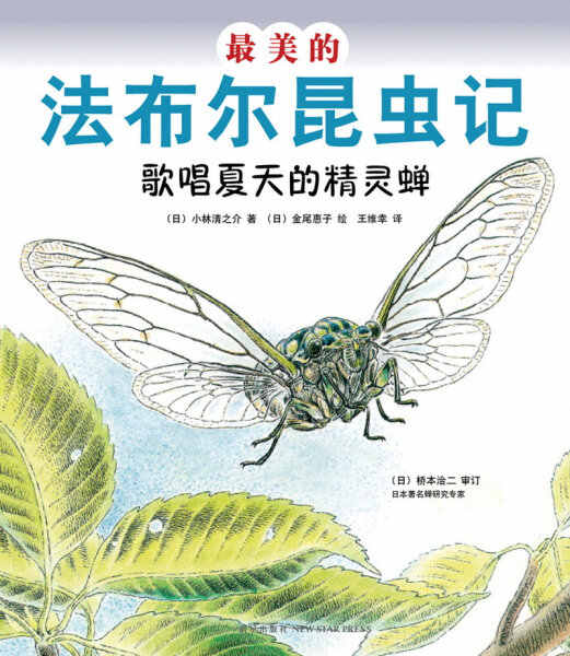 法布尔蝉 新人首单立减十元 21年8月 淘宝海外