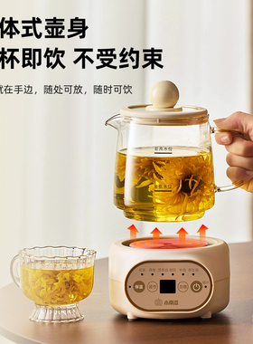 小南瓜养生壶办公室小型全自动