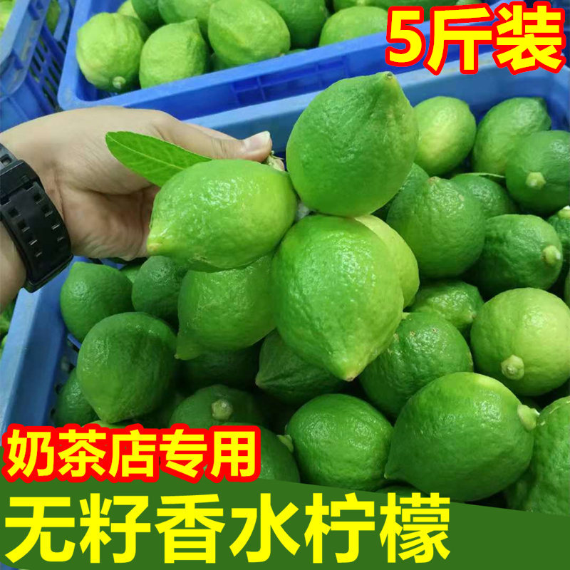 香水柠檬新鲜5斤装咖啡奶茶店柠檬膏专用水果无籽四季青柠檬包邮-图0