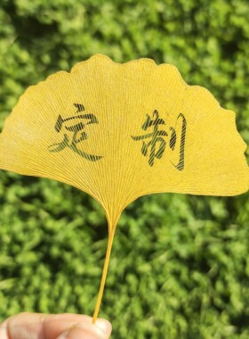 银杏叶刻字定制diy书签摆台