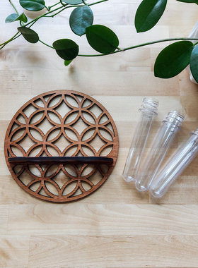 跨境圆形植物实木置物架悬挂式木架试管  简约家居卧室墙壁摆件