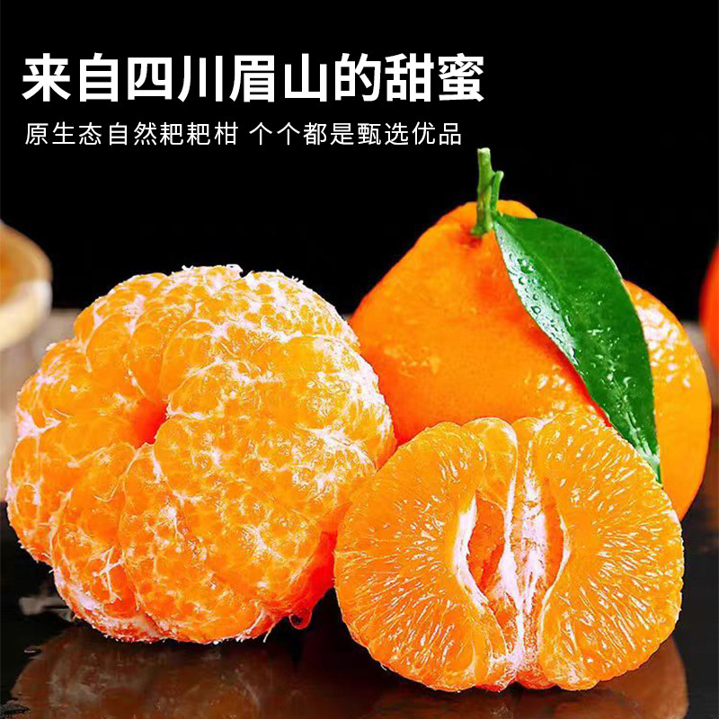 四川春见耙耙柑粑粑柑新鲜纯甜水果10斤橘子应季整箱桔子现摘,淘宝优惠券,粉丝福利购,淘宝优惠卷