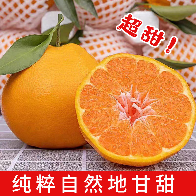 四川春见耙耙柑粑粑柑新鲜纯甜水果10斤橘子应季整箱桔子现摘,淘宝优惠券,粉丝福利购,淘宝优惠卷