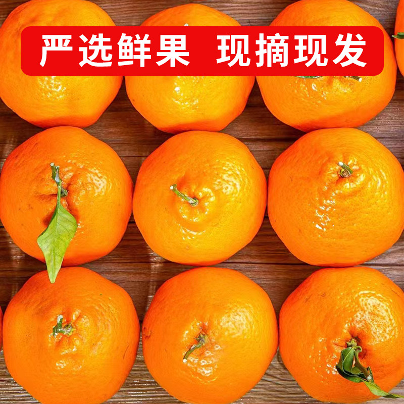 四川春见耙耙柑粑粑柑新鲜纯甜水果10斤橘子应季整箱桔子现摘,淘宝优惠券,粉丝福利购,淘宝优惠卷