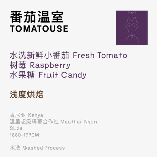 Black C 小黑虎 Olafur的番茄温室 肯尼亚水洗超级马蒂手冲咖啡 - 图1