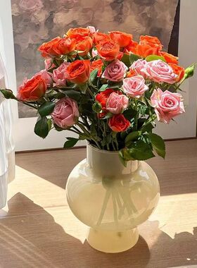 简约感玻璃花瓶家居客厅插花水养鲜花小花瓶装饰摆件桌面