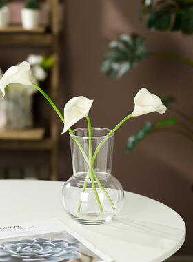 北欧ins简约轻奢玻璃花瓶摆件高颜值鲜花插花器家居桌面装饰道具