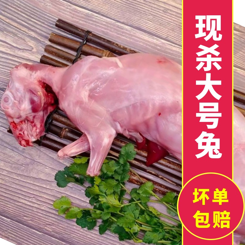 【顺丰包邮】新鲜兔肉大号现杀冷冻生兔肉生鲜食用烧烤食材一只装 - 图0