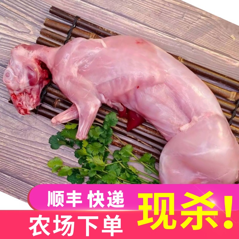 【顺丰包邮】新鲜兔肉大号现杀冷冻生兔肉生鲜食用烧烤食材一只装 - 图1