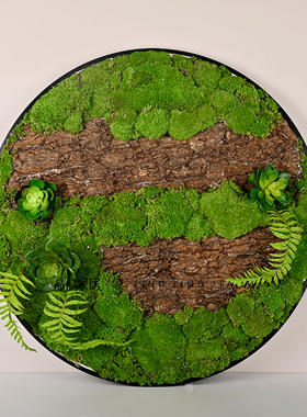 简约装饰桌面茶几永生苔藓摆件