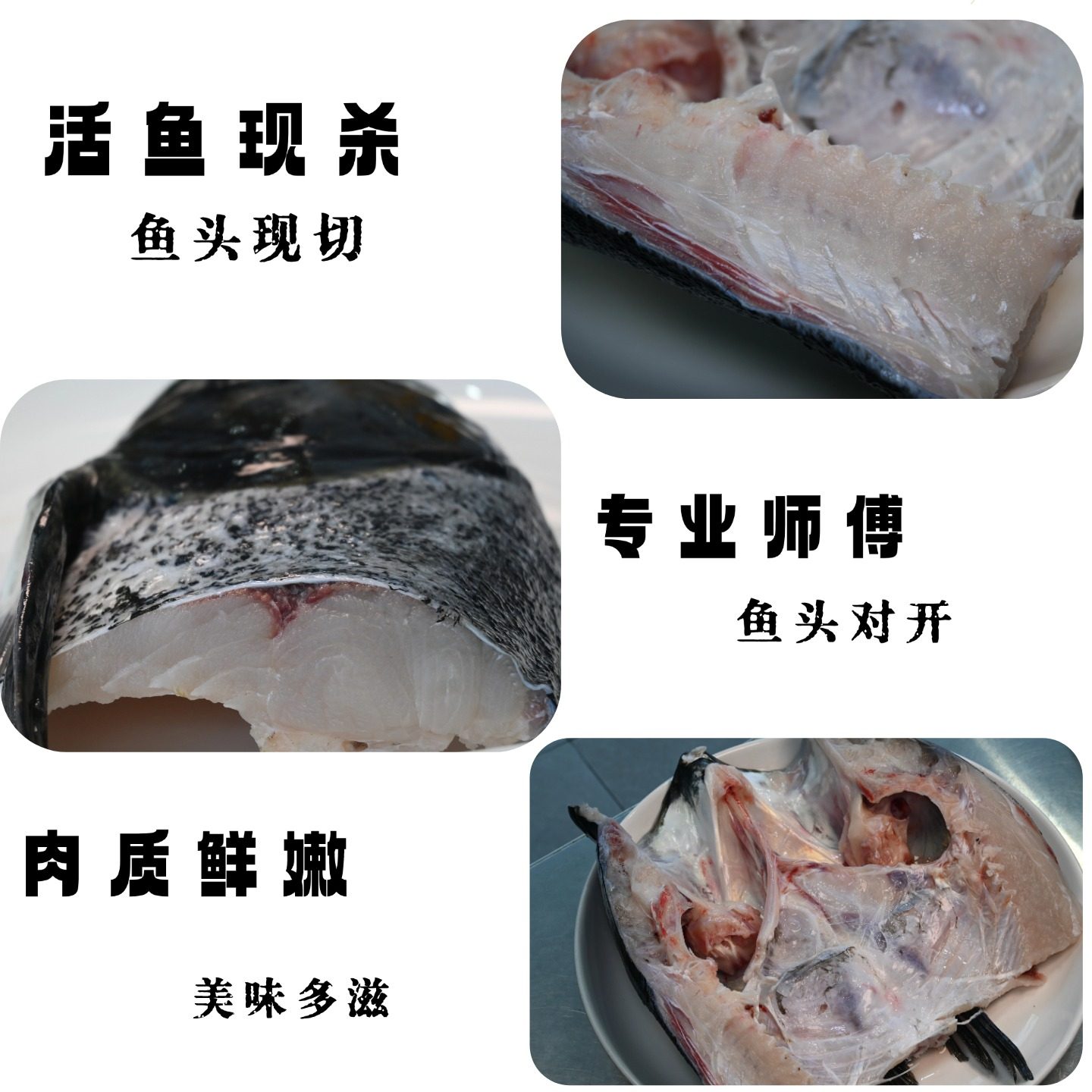 鲜活鱼头现杀千岛湖淳牌有机活鱼鳙鱼大鱼头胖头鱼花鲢鱼头汤鱼尾,淘宝优惠券,粉丝福利购,淘宝优惠卷