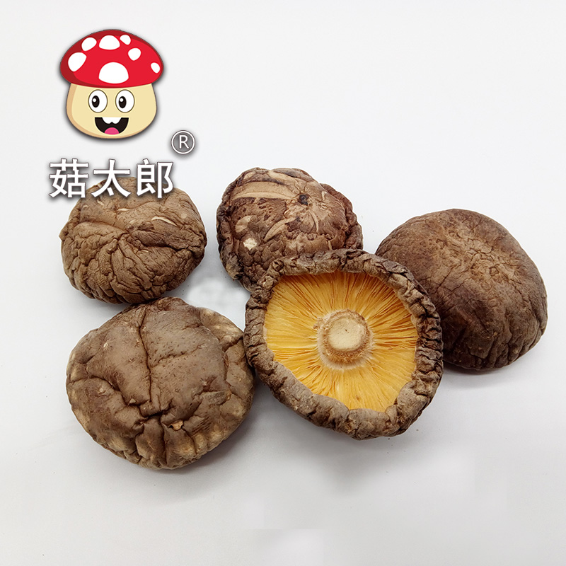 菇太郎香菇干货500g新货农家特产香菇剪脚冬菇蘑菇家用干香菇 - 图1