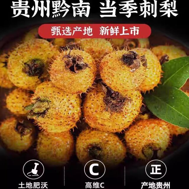 Guizhou 0 Added Dried Wild Prickly Pear