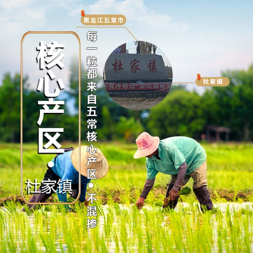 家有农场 2025年新米现磨五常大米长粒香米10斤东北大米2.5kg真空 - 图1