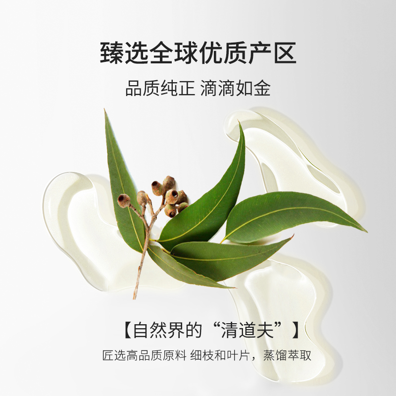 IN ESSENCE澳洲ie精油尤加利单方精油呼吸净化空气清洁肌肤香薰