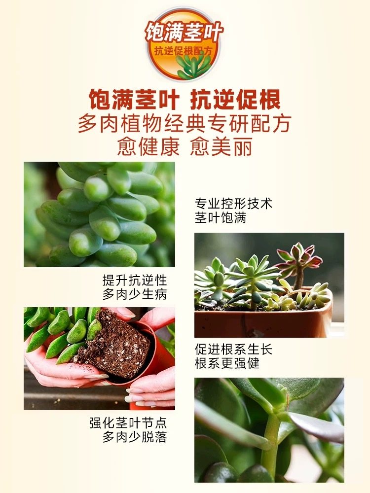 美乐棵多肉营养液缓释肥家庭园艺植物肥料颗粒肥肉肉盆栽花盆基肥,淘宝优惠券,粉丝福利购,淘宝优惠卷