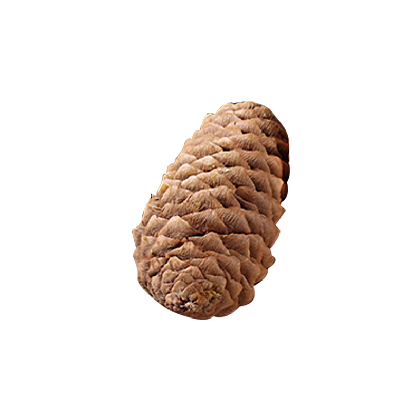 芯苼 松果系列手工DIY礼物藤圈花环装饰材料花束配饰天然花艺资材,淘宝优惠券,粉丝福利购,淘宝优惠卷