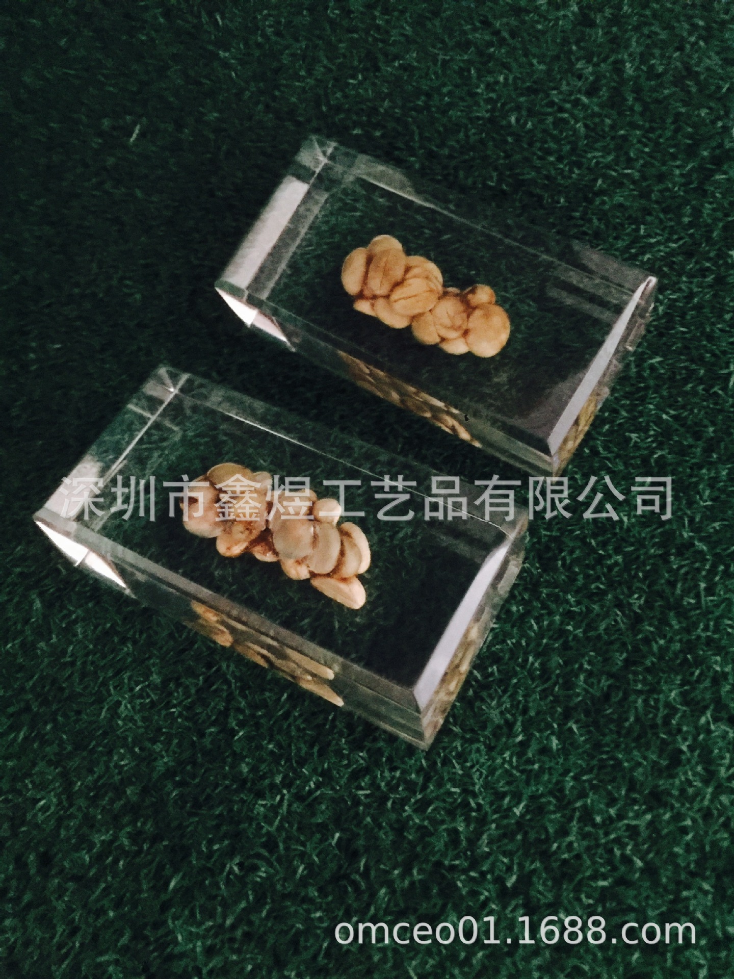 亚克力内埋黄豆种子展示品，水晶胶内藏黄豆植物，内嵌 - 图2