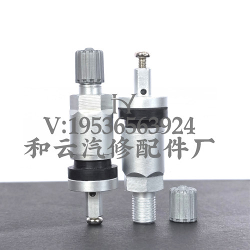 适用别克奔驰路虎福特捷豹吉普吉利长安胎压监测传感器气门嘴气嘴 - 图3