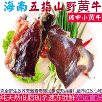 Pure natural scallops Flesh Bone Freshly Found Slaughter of Bull Ridge Upper Cerebral Tendon Subgluten Head Barbeencephalon Low Fat Hotpot