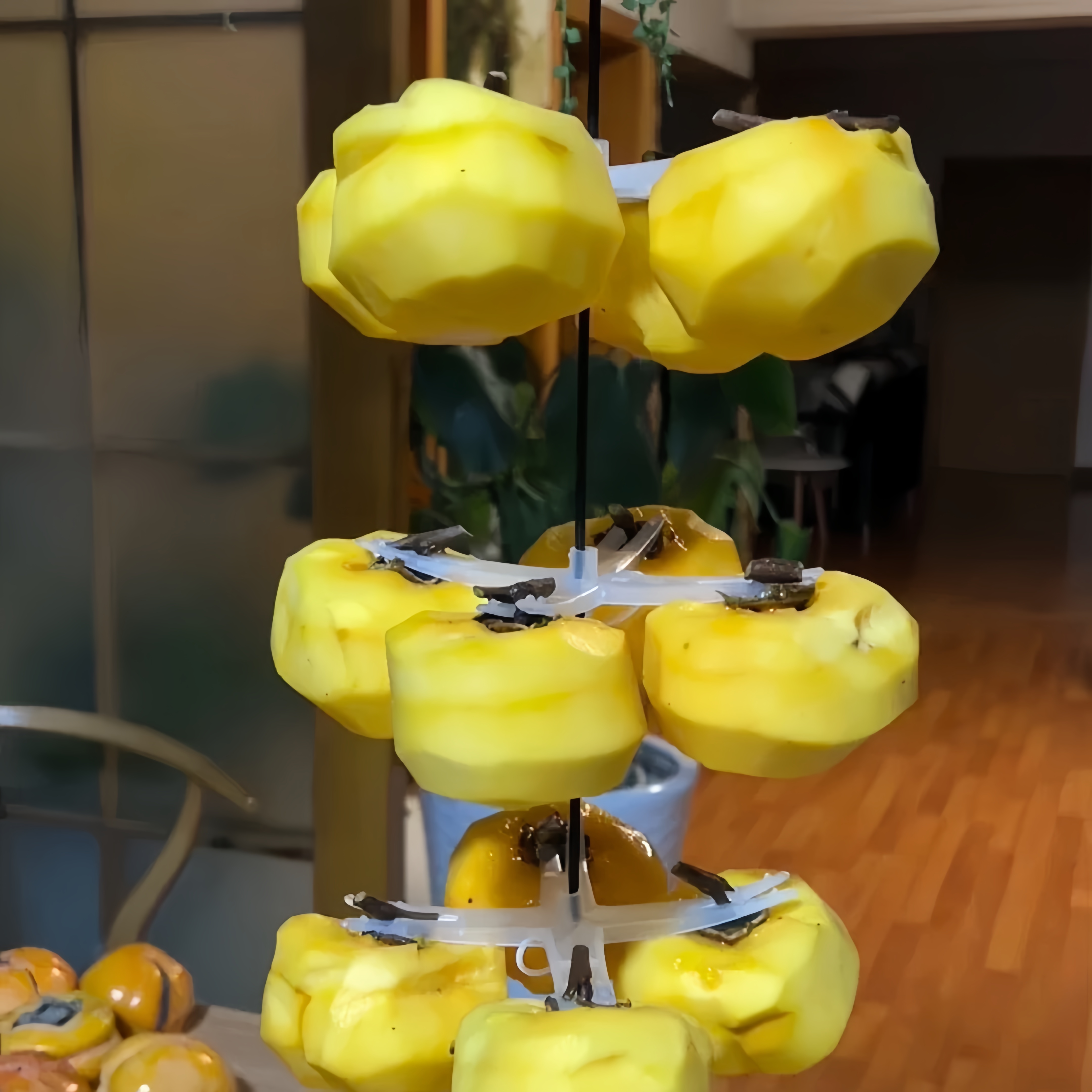 柿饼挂架晾晒柿饼神器塑料吊柿挂架十字柿夹子晾晒工具挂柿饼农用 - 图2