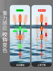 小凤仙大物夜光漂鲢鳙漂咬钩变色鱼漂电子漂大加粗醒目浮漂草鱼漂