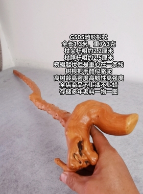 G505B“骆驼”云南对节祥龙木降龙木手杖拐棍登山杖把玩赠送佳品