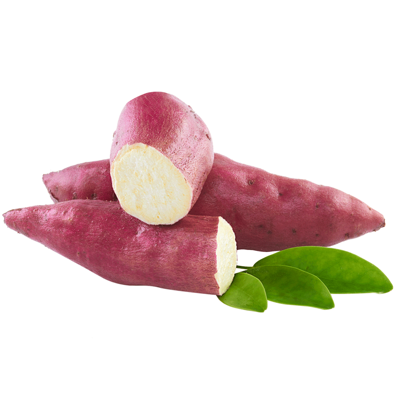 有机粗粮海头日式现挖海南9斤板栗 源薯番薯