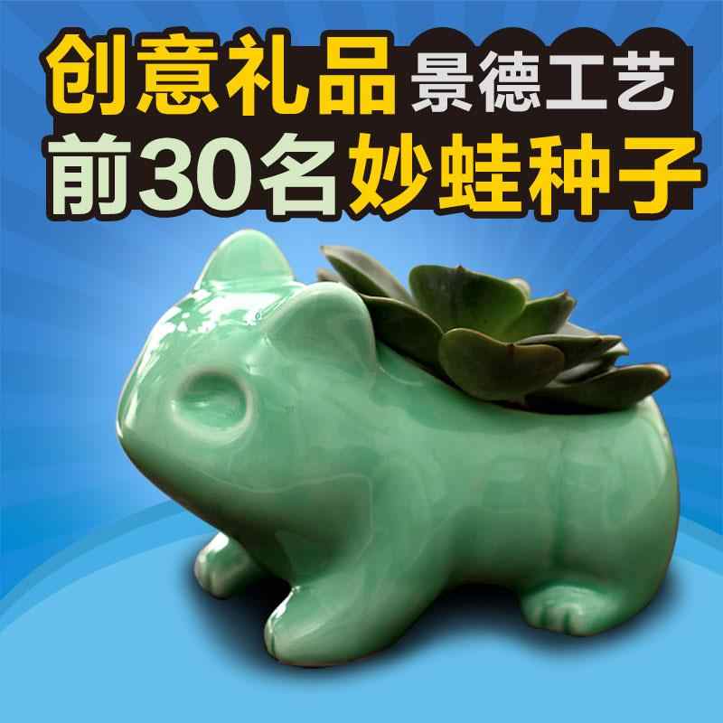 多肉植物种子种子 新人首单立减十元 21年8月 淘宝海外