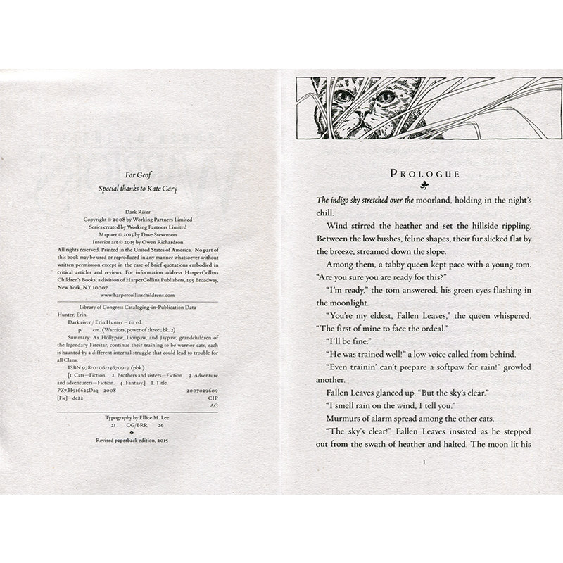 猫武士1-7部曲全套英文原版小说赠音频 Warriors The Prophecies Begin 儿童章节书中小学课外冒险动物奇幻励志课外阅读进阶小说,淘宝优惠券,粉丝福利购,淘宝优惠卷