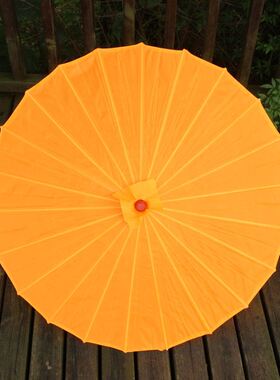 雨竹林舞蹈伞傣族手拿道