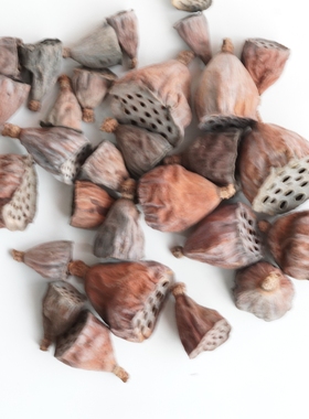 迷你天然带籽干莲蓬禅意干花包