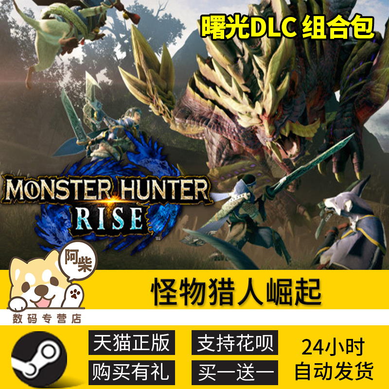 steam正版pc游戏 怪物猎人崛起曙光dlc组合包 cdk国区激活码MONSTER HUNTER RISE怪猎崛起破晓 - 图2