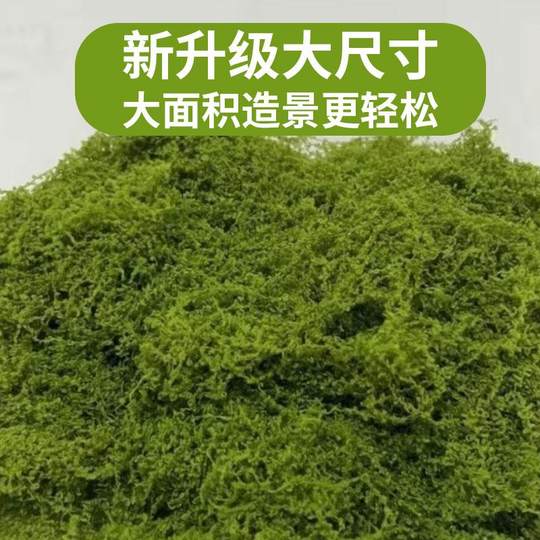 仿真苔藓草皮假青苔丝状仿生绿植盆栽人造景微景观花盆表面覆盖物
