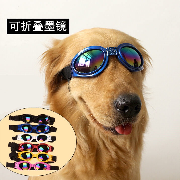 狗狗眼镜金毛 新人首单立减十元 21年7月 淘宝海外