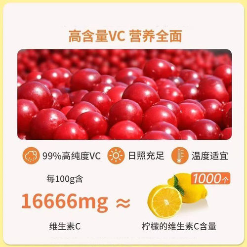 针叶樱桃维生素C片官方旗舰店正品高含量复合VC片针叶樱桃tp - 图2
