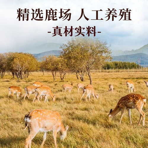 石斛决明子鹿眼片正品官方旗舰店石斛枸杞菊花鹿眼片5mn - 图0