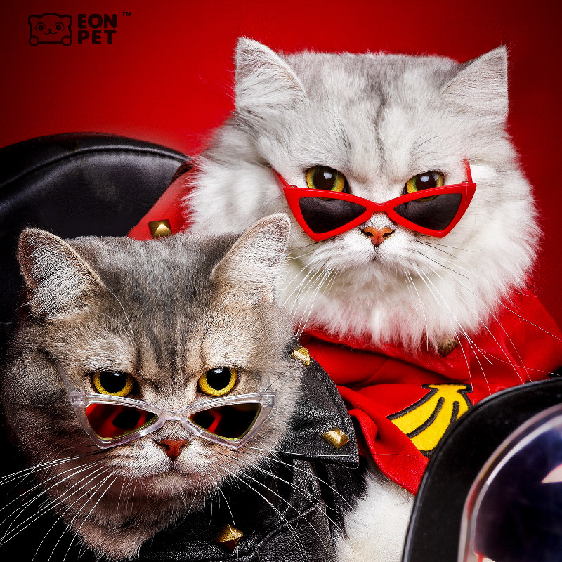 宠物猫墨镜推荐品牌 新人首单立减十元 21年6月 淘宝海外