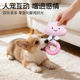 Dog teeth grinding and chewing ring, resistant to biting and making sounds, super relieves boredom