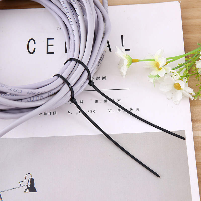 自锁式尼龙扎带强力固定塑料卡扣绑扎带扎线黑色勒死狗捆绑捆扎带,淘宝优惠券,粉丝福利购,淘宝优惠卷