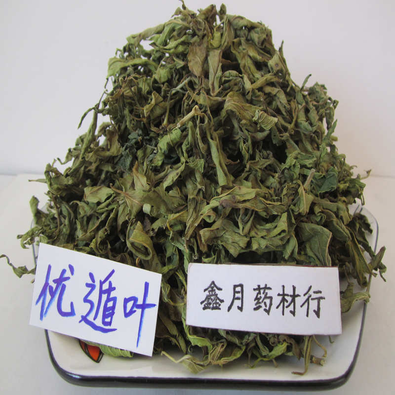 忧遁草叶粉优盾叶粉优遁草粉优顿草粉忧盾草粉黎王草忧顿草鳄嘴花 - 图0