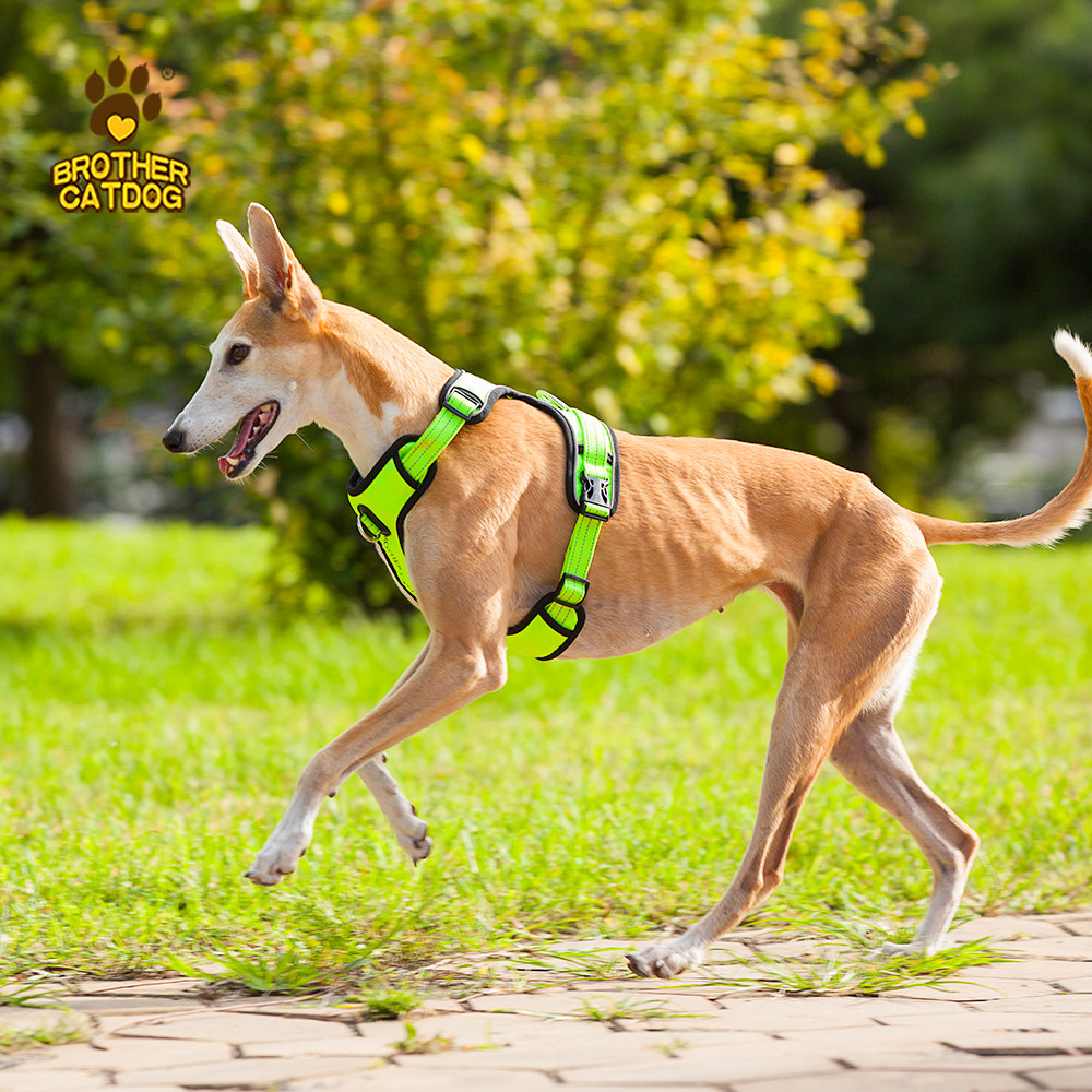 狗狗胸背带外出防爆牵引绳背心式可调节可伸缩防挣脱中大型犬狗绳,淘宝优惠券,粉丝福利购,淘宝优惠卷
