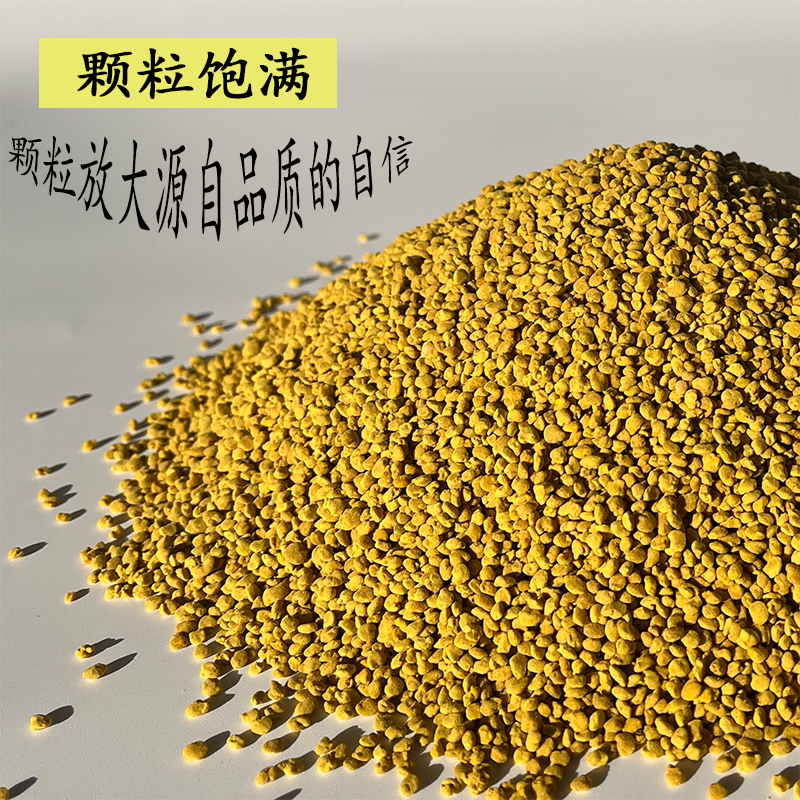 2023新鲜青海油菜花粉纯正天然正品食用未破壁蜜蜂花粉前列腺500g