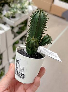 FEJKA菲卡人造盆栽植物