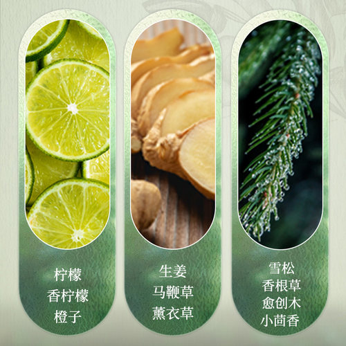 【数量拍2】Na奈十八本生姜洗发水修护秀发蓬松防断发保湿柔顺香 - 图1