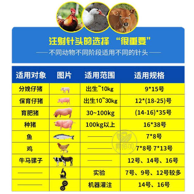 兽用针头不锈钢针头 91216号注射器针头 304厚壁猪用针头注射疫苗 - 图1