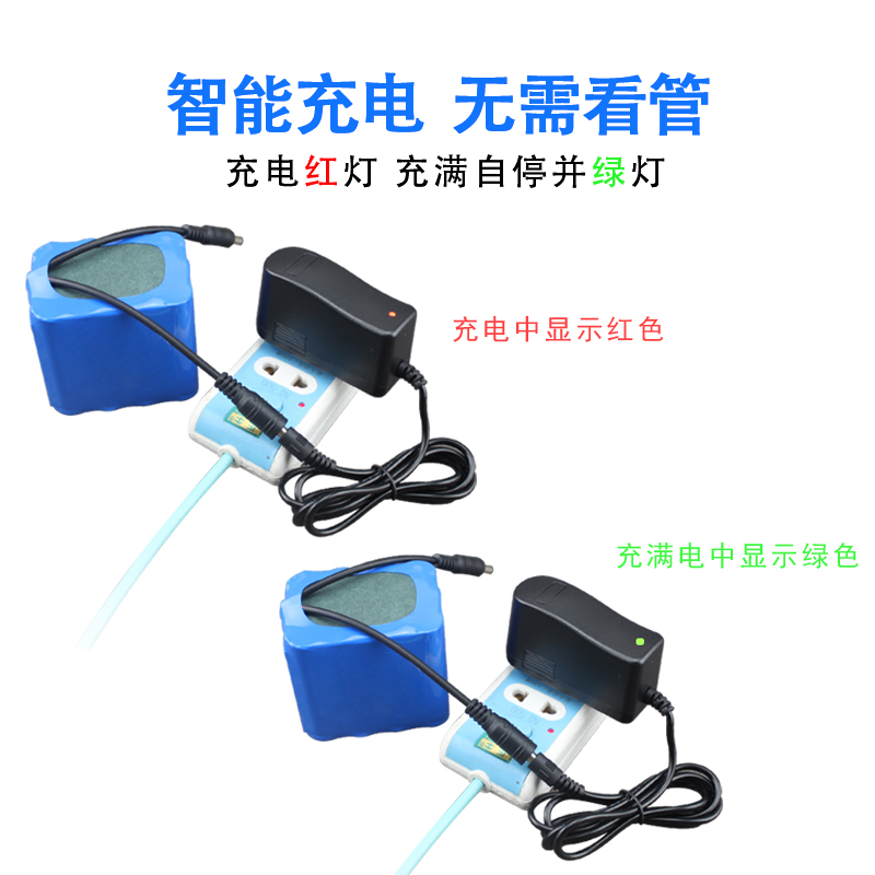 11.1V/12.6V/10.8V1A/2A/3A/5A锂电池充电器三串聚合物12V充电器 - 图0